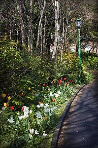 Spring flowers lining a formal driveway