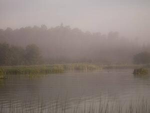Lake of the Woods, Ontario, Canada; Mist rises over lake