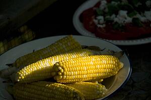 Lake of the Woods, Ontario, Canada; Plate of corn