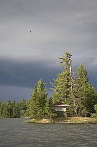Lake of the Woods, Ontario, Canada; View of woods next to a lake