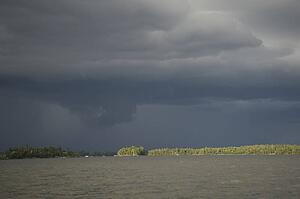 Lake of the Woods, Ontario, Canada; View of woods next to a lake