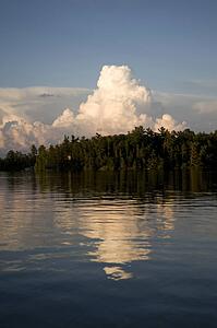 Lake of the Woods, Ontario, Canada; View of woods next to a lake