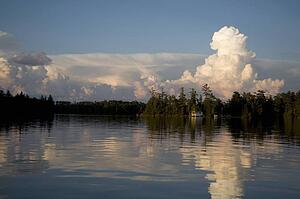 Lake of the Woods, Ontario, Canada; View of woods next to a lake
