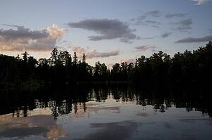 Lake of the Woods, Ontario, Canada; View of woods next to a lake
