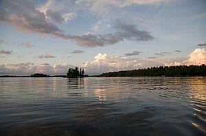 Lake of the Woods, Ontario, Canada; View of woods next to a lake