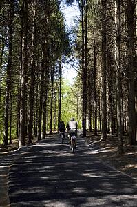 Waterloo, Quebec, Canada; Tourists cycling along a bicycle path surrounded by tall trees