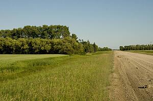 Prairies, Lake of the Woods, Ontario, Canada; Prairies