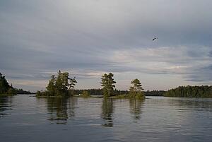 Lake of the Woods, Ontario, Canada; Bird flying above small islands with trees