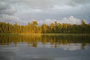 Lake of the Woods, Ontario, Canada; View of forest across a lake
