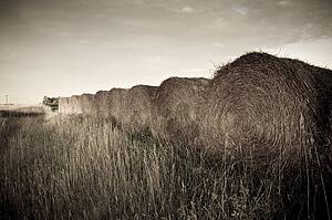 Hay bales