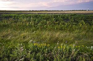 The prairies, Manitoba, Canada