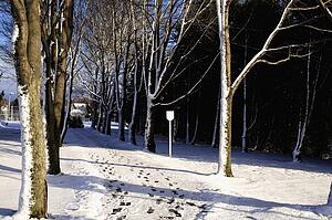Footprints in the snow
