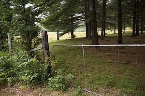 Fence by property, Muskoka, Ontario, Canada