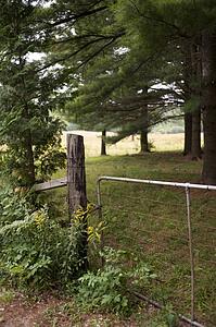 Fence by property, Muskoka, Ontario, Canada