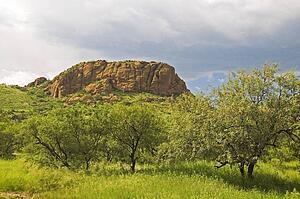 Pajarito Mountains, Arizona, USA