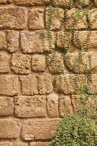 Seville Province, Spain; Old stone wall with ivy