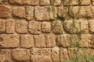 Seville Province, Spain; Old stone wall with ivy