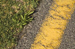 No parking yellow line
