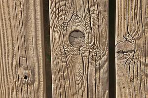 Knots in planks of wood