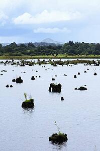 The Gearagh, Macroom, Co Cork, Ireland; The Gearagh