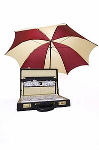 Suitcase full of money with umbrella