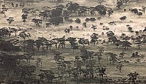 Ngorongoro Crater, Tanzania, Africa 