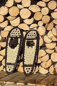 Snowshoes
