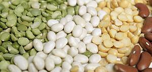 Variety of beans