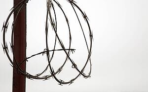 Barbed wire in a coil
