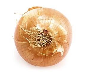 Onion