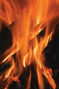 Fire; Wood fire burning