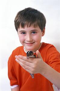 Boy and Lizard