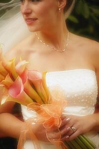 Portrait of a bride