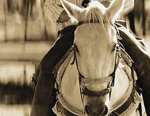Horseback riding