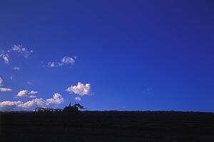 A tractor on the horizon
