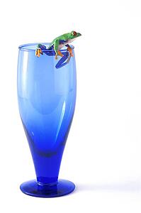 A frog on a glass