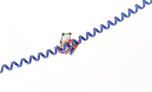 A frog on a cord