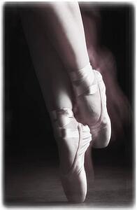 Ballet slippers
