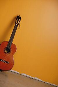 A guitar