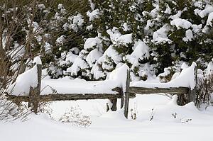 Old wooden fence covered in snow