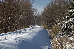 Man in distance walking down a country road covered in snow