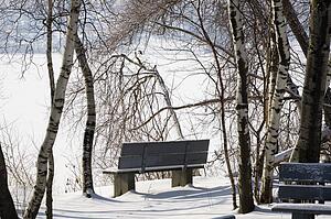 Park bench covered in snow