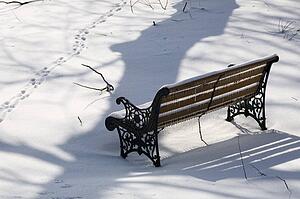 Park bench covered in snow