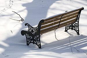 Park bench covered in snow