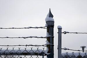 Chicken wire fence and barbed wire covered in snow