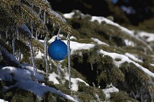 Pine tree covered in snow and icicles, with blue Christmas decoration