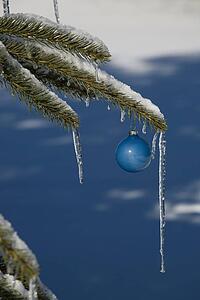 Pine tree covered in snow and icicles, with blue Christmas decoration