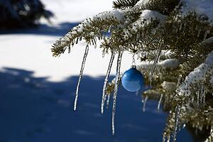 Pine tree covered in snow and icicles, with blue Christmas decoration