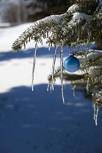 Pine tree covered in snow and icicles, with blue Christmas decoration