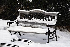 Park bench covered in snow